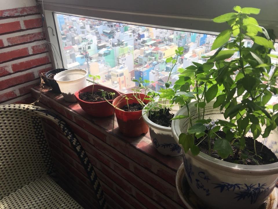 Skygon Hostel Hô Chi Minh-Ville Extérieur photo